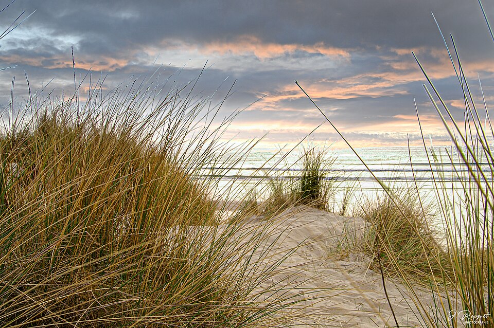 La Manche