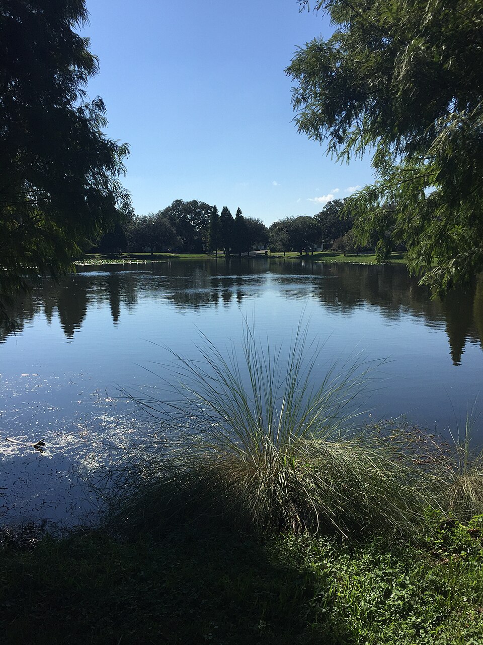Hillsborough River below Hannahs Whirl near Sulphur Springs, Florida