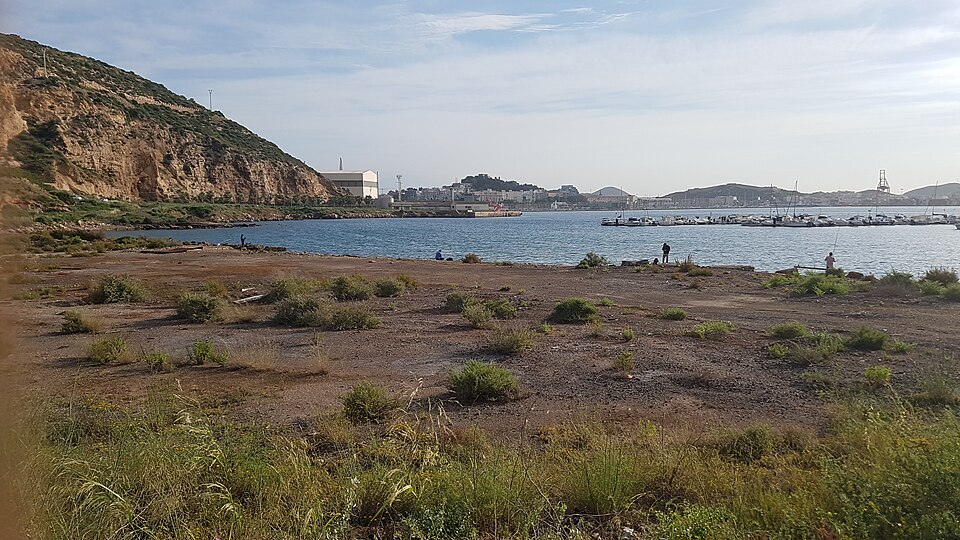 Mediterranean