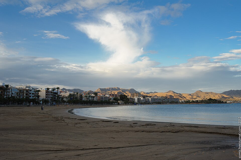 Mediterranean