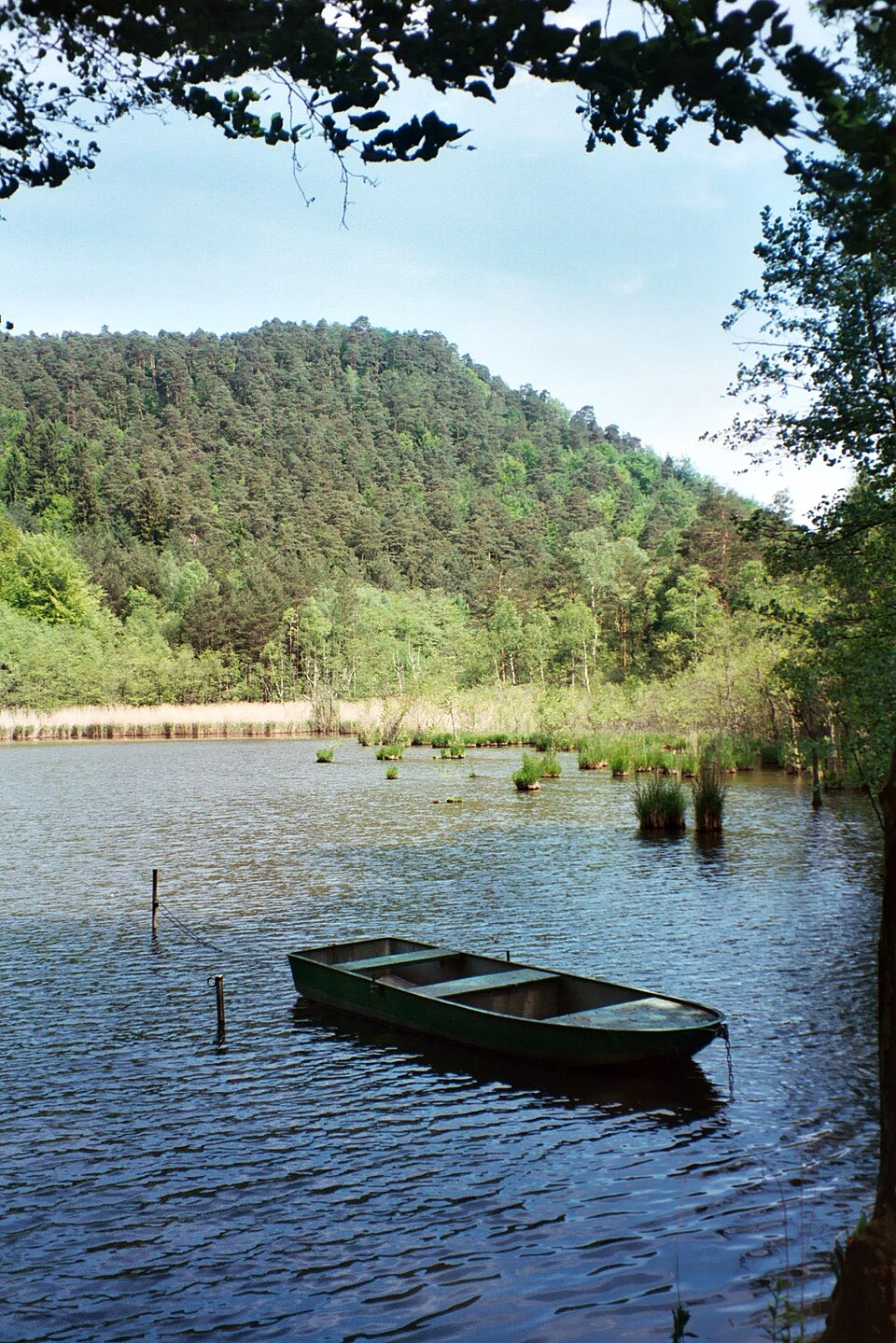 Seehof Erlenbach