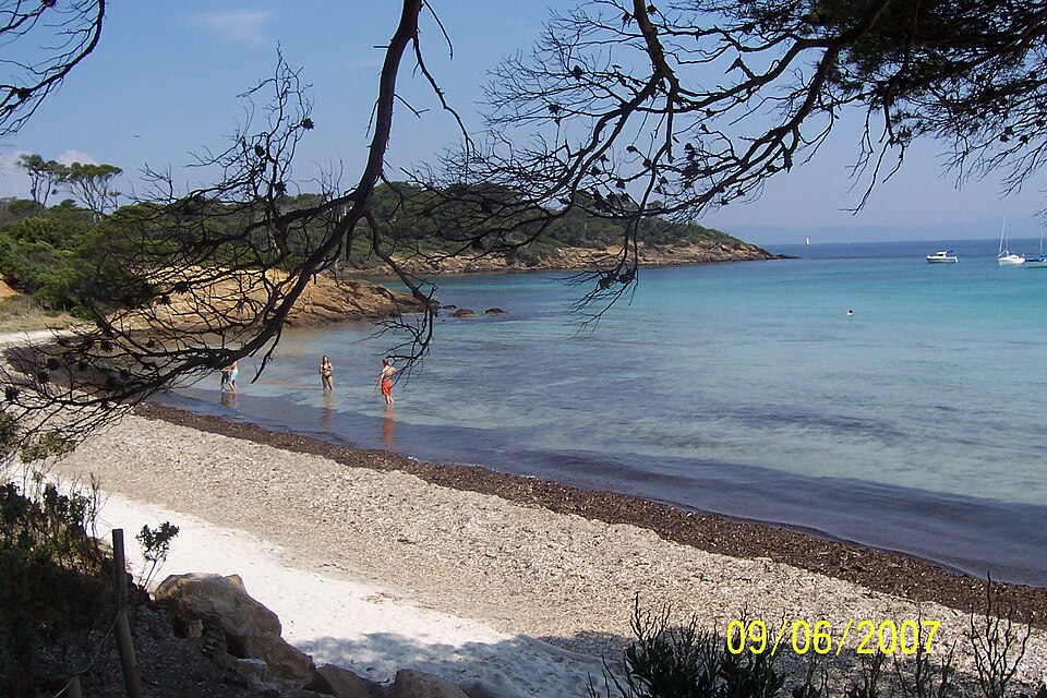Mediterranean