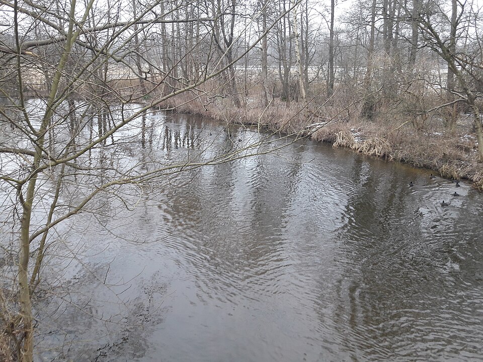 Ahrensee