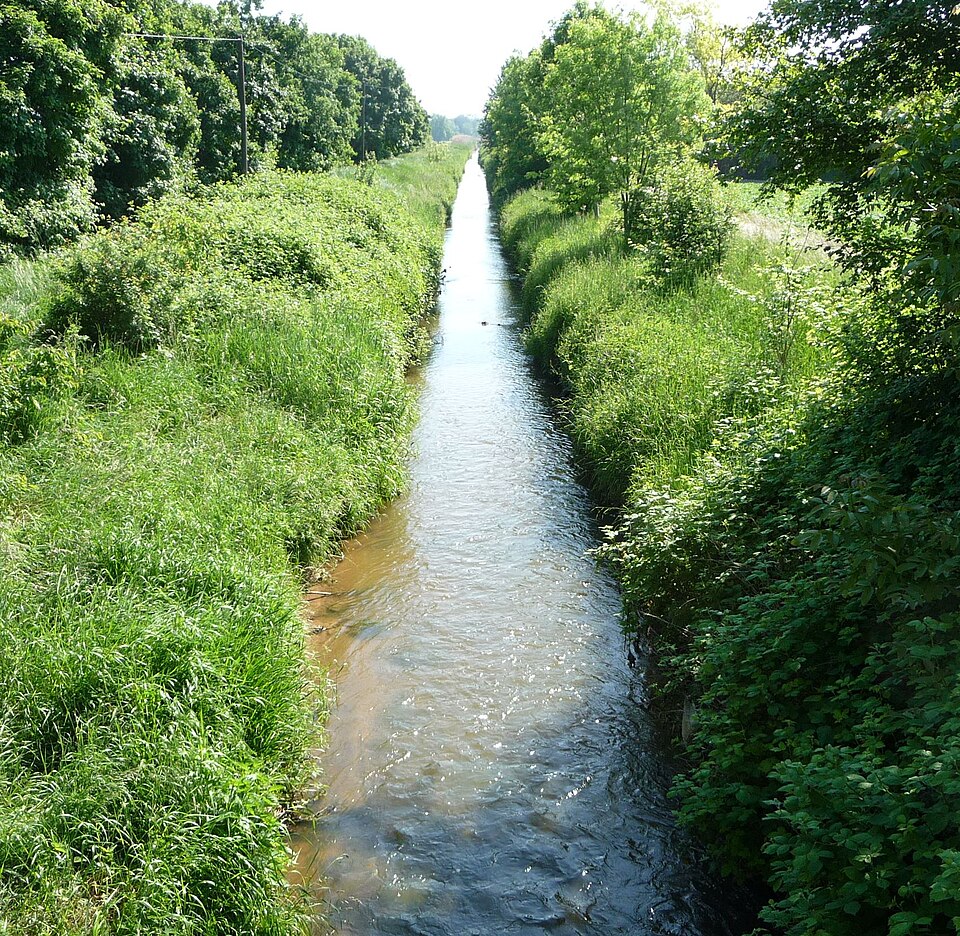 Nachtweideweiher, Bobenheim-Roxheim