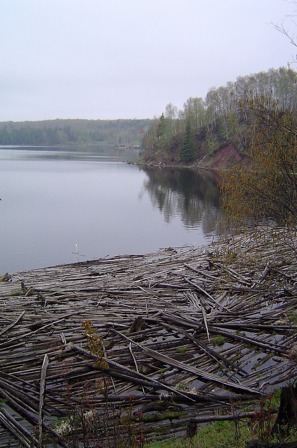 Sturgeon River near Alston, Michigan