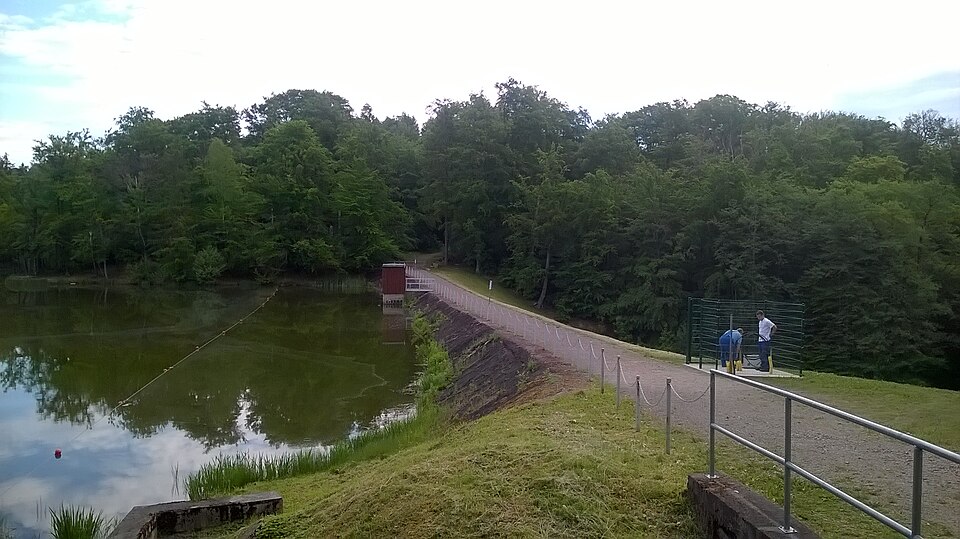 Bremer Dammteich Gernrode