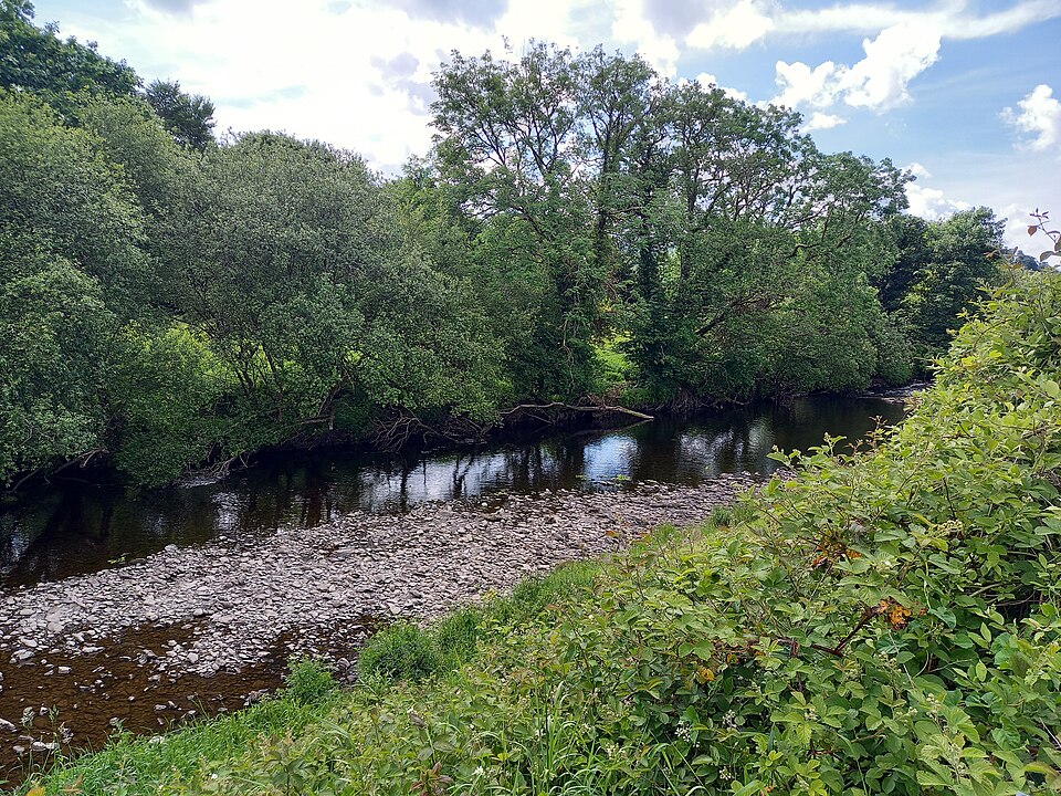 Sullane