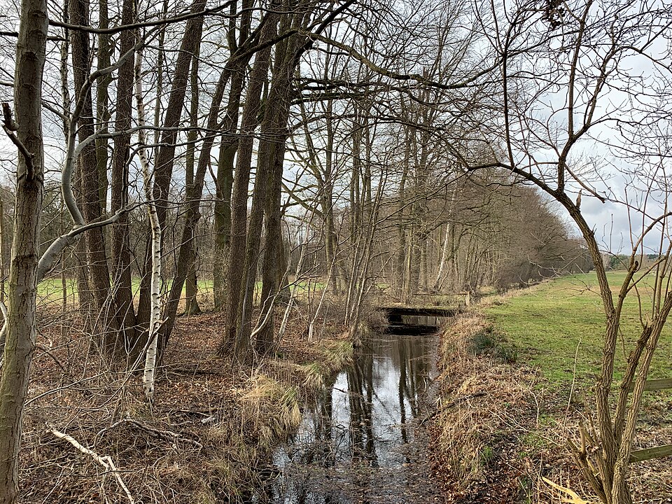 Köthener See