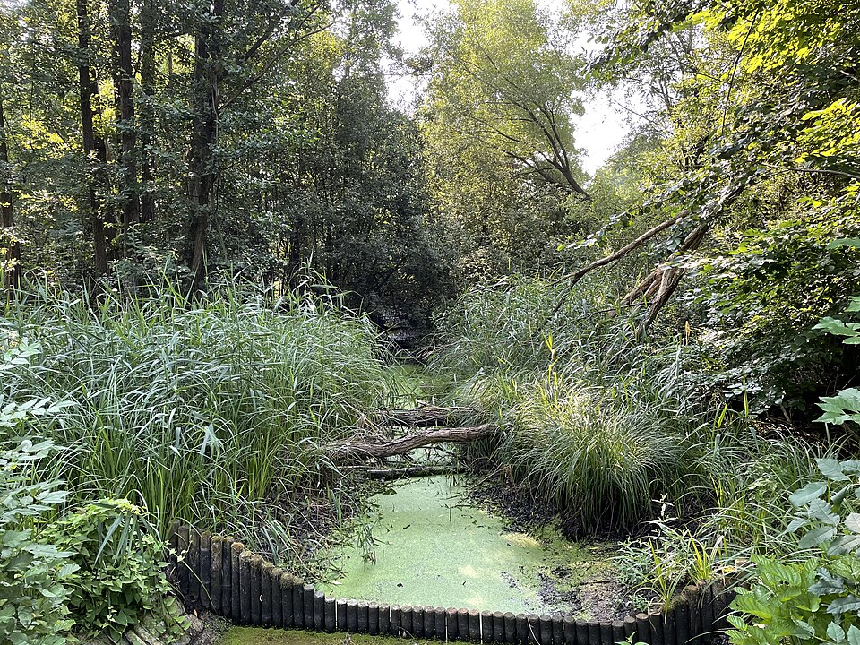 Kiessee II