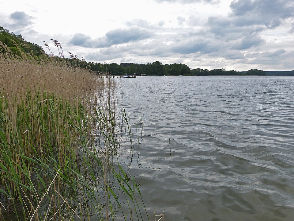 Vilzsee