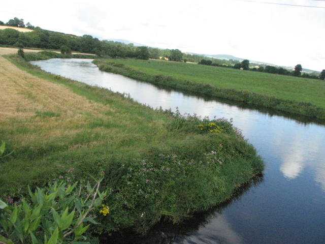 Slaney