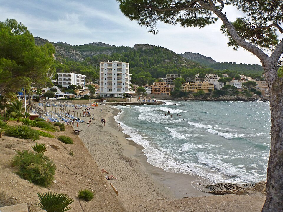 Mediterranean