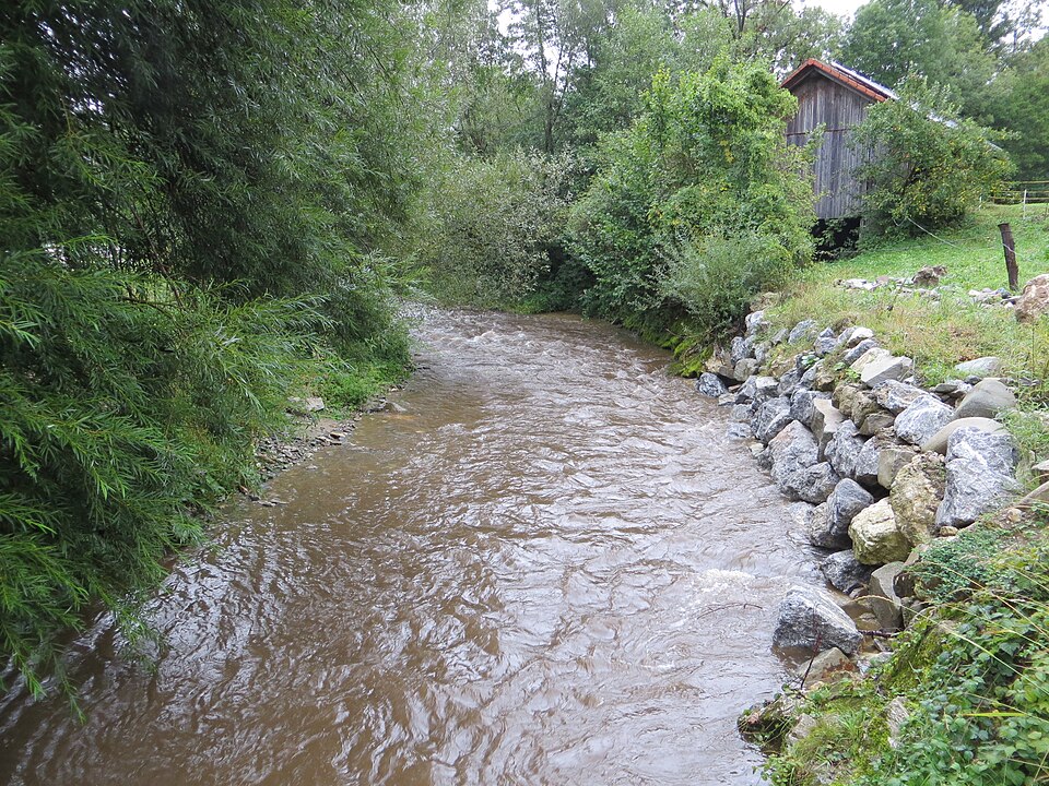 Mislinja