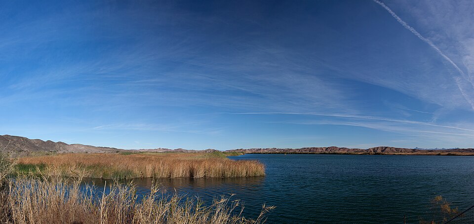 Colorado River above Imperial Dam, Az-ca