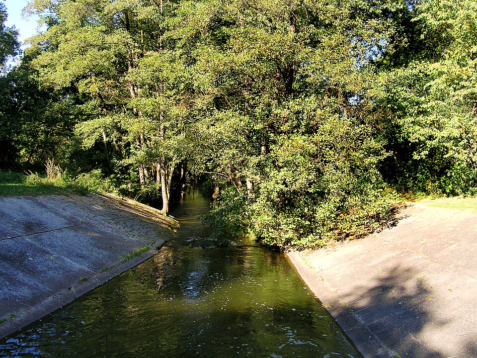 Botič