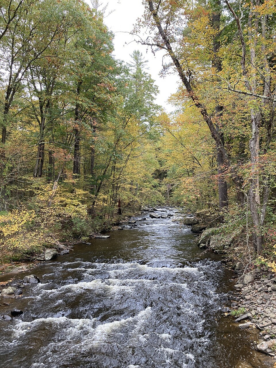 Tenmile River at Tusten, New York