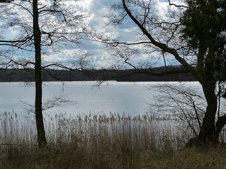 Wurlsee