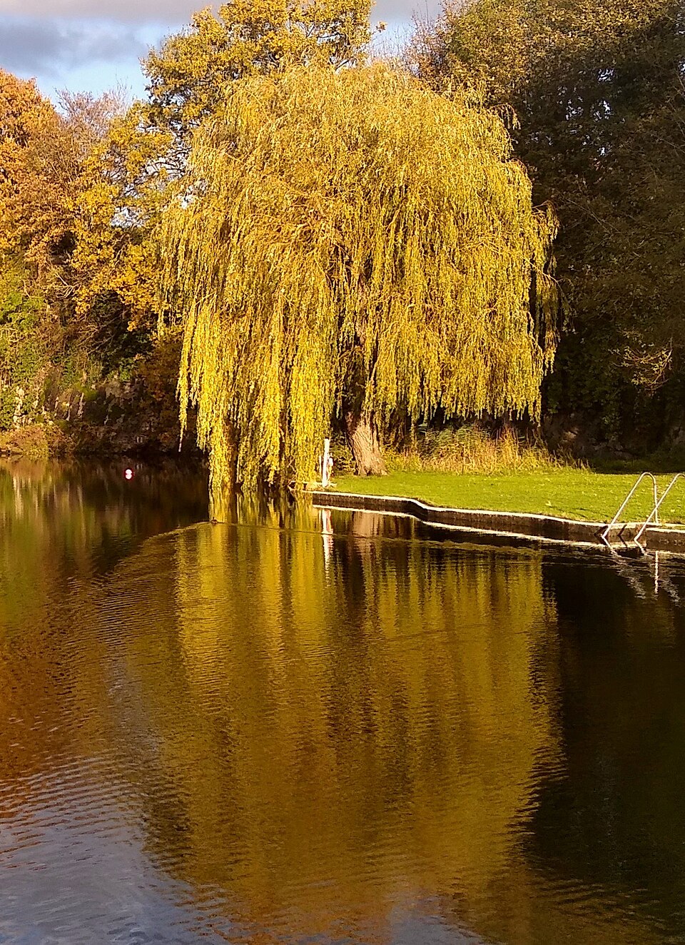 Henleaze Lake