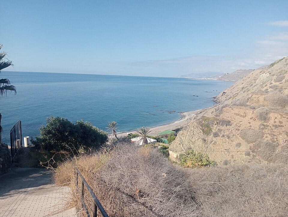 Mediterranean