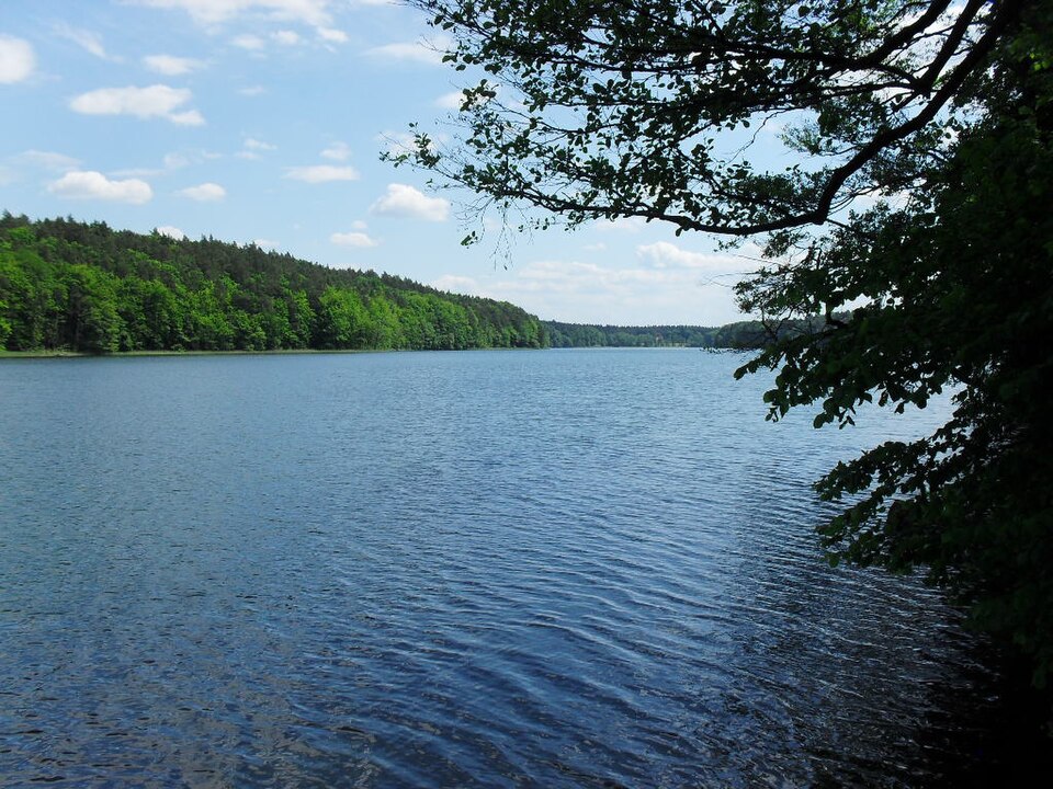 Zenssee