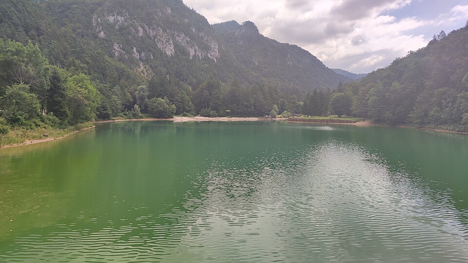 Sava Bohinjka