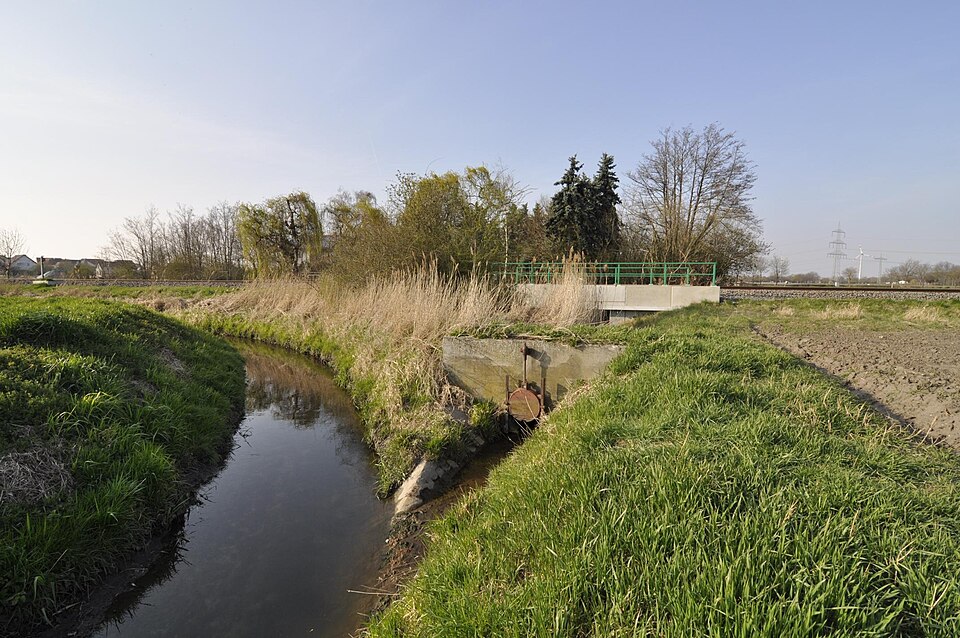 Nachtweideweiher Lambsheim