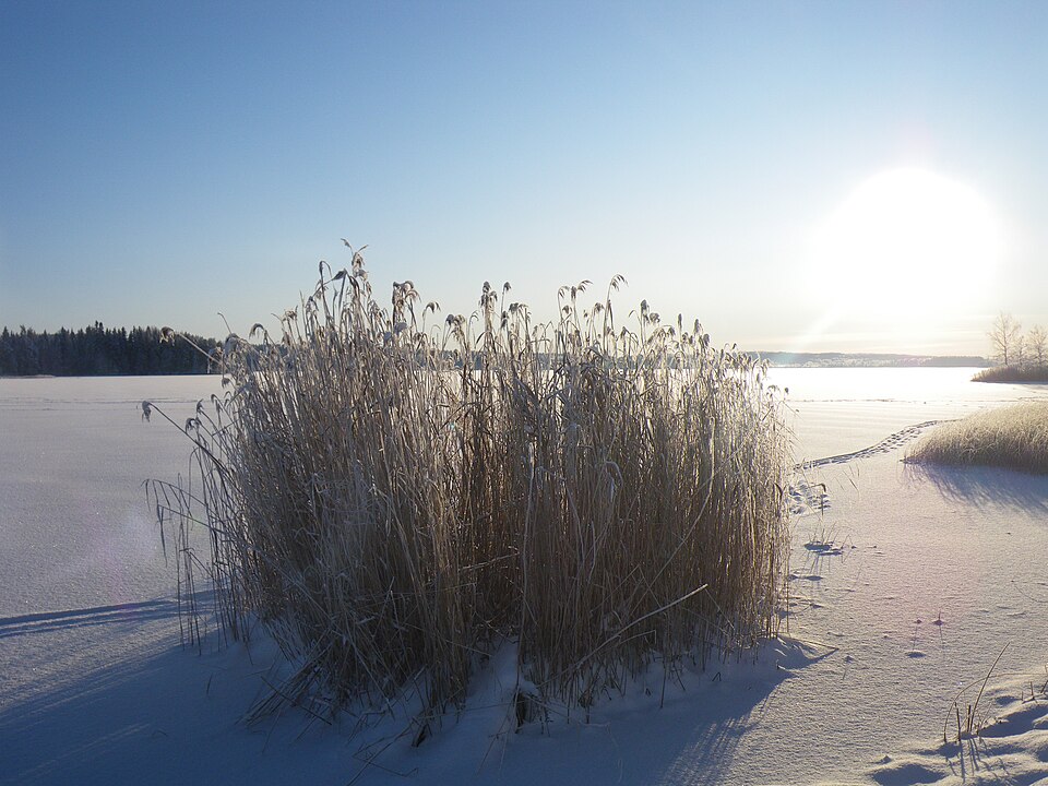 Molkomsjön