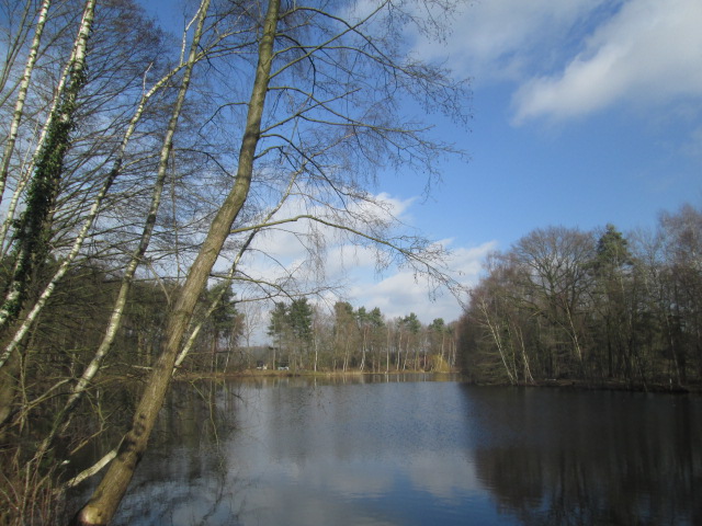 Dalkebach
