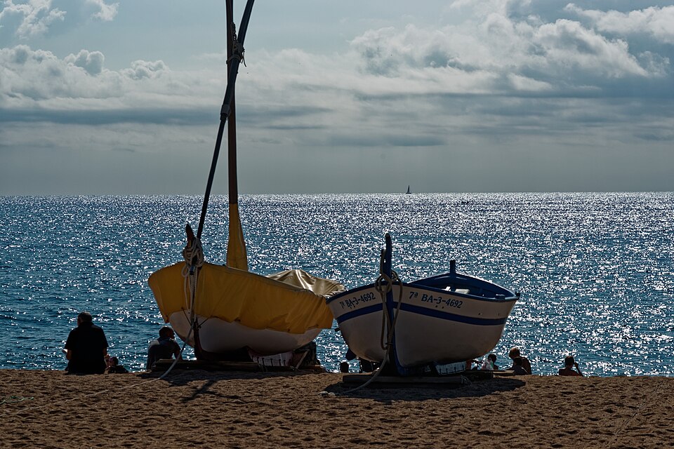 Mediterranean