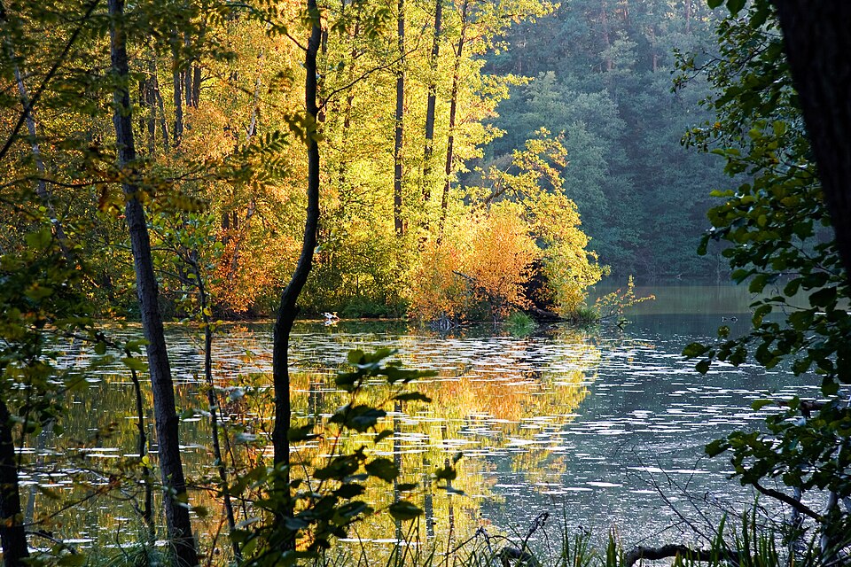 Schervenzsee