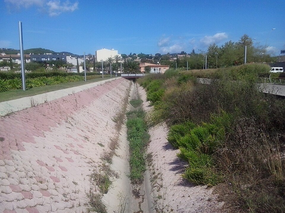 Mediterranean