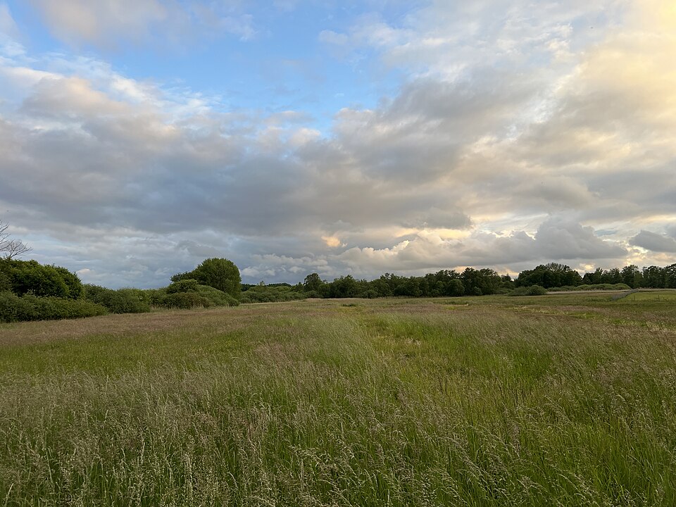 Plauer See