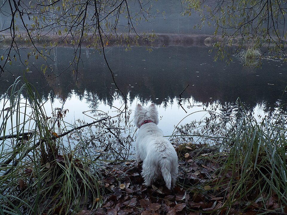 Tristacher See, Badeanstalt