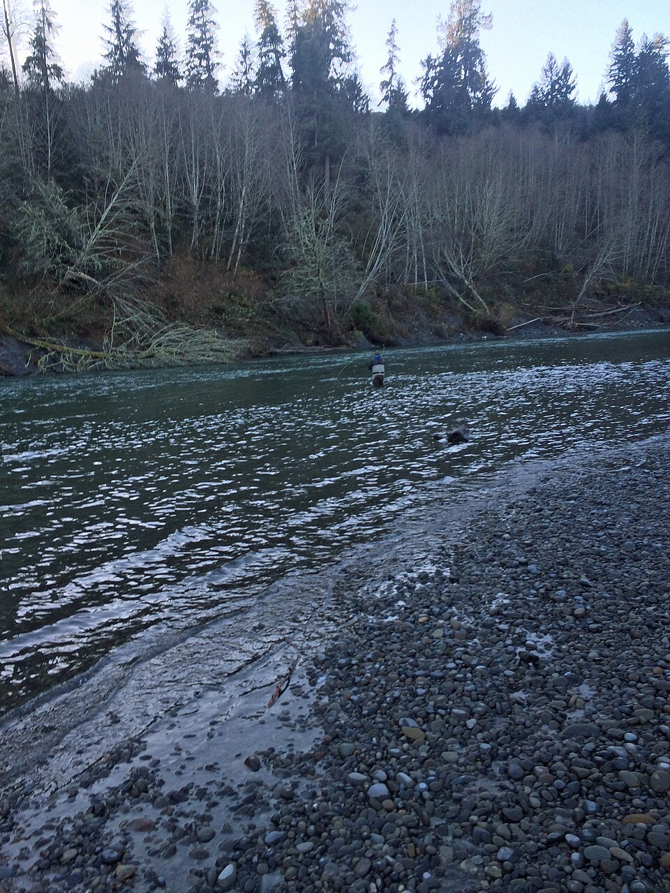 Bogachiel River near La Push, Washington