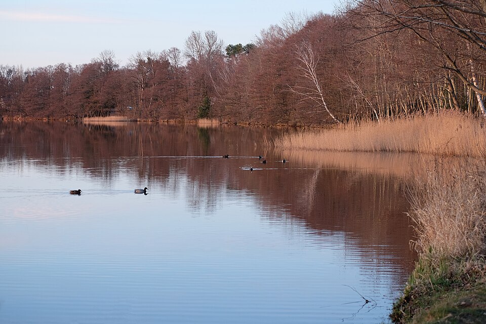 Pätzer Vordersee