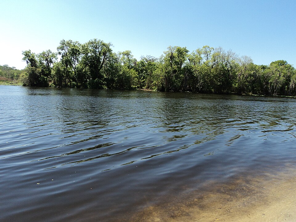 Blue Springs near Orange City, Florida