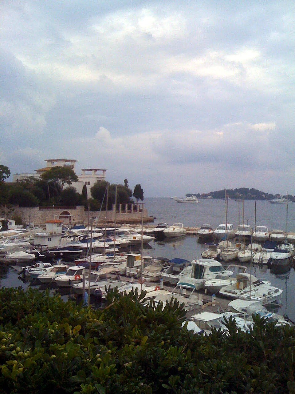 Méditerranée