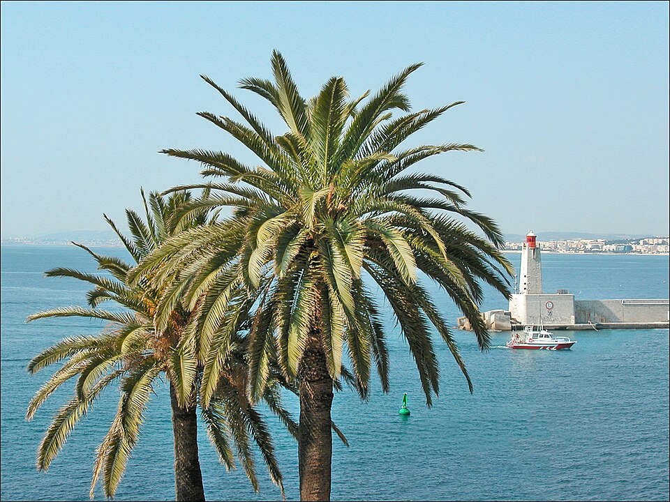Mittelmeer