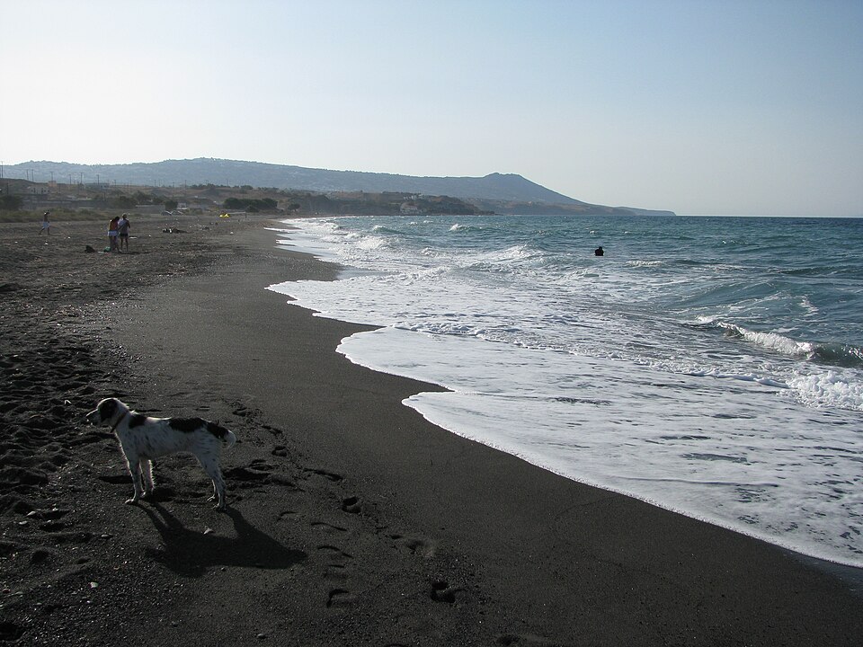 Mediterranean