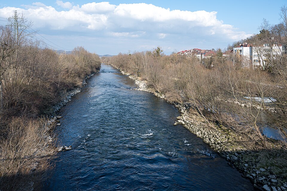 Traun