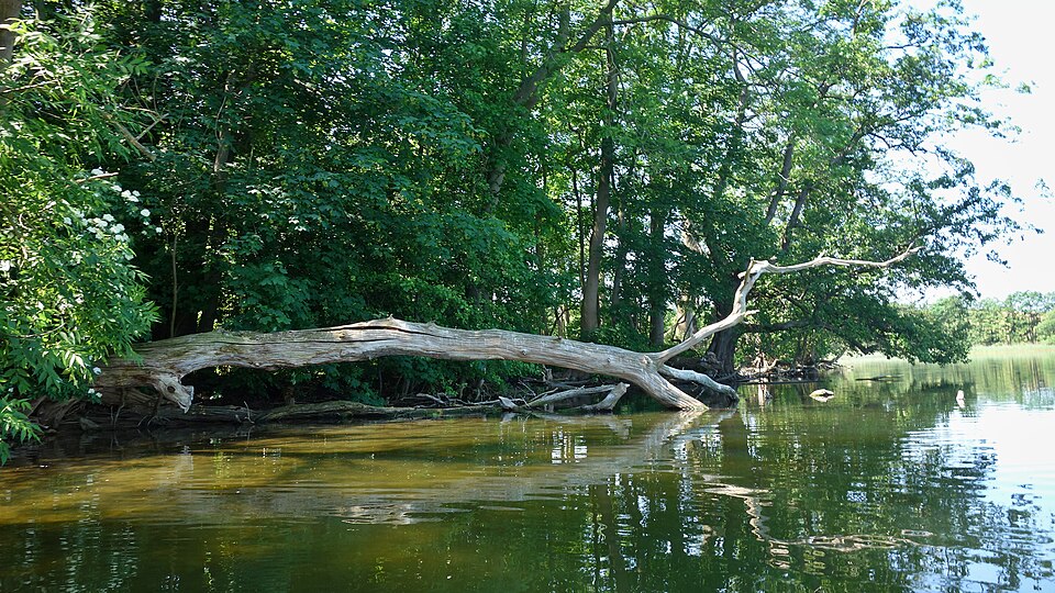 Hohen Sprenzer See