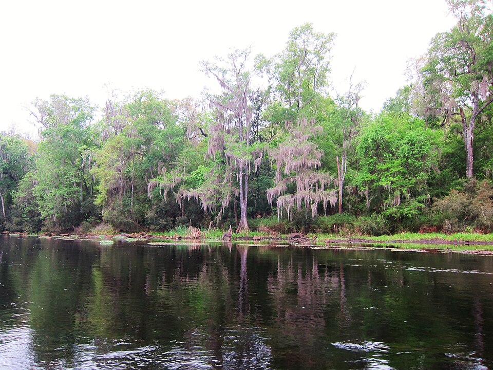 Santa Fe River at Us HWY 441 near High Springs, Florida