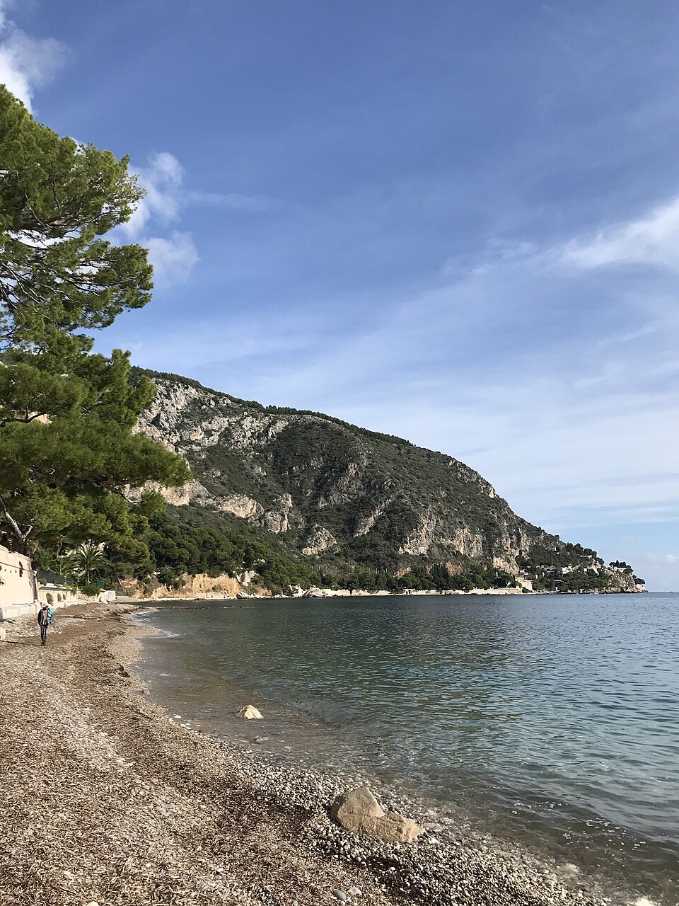Mediterranean