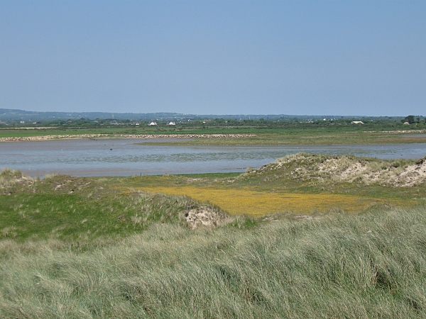 Ballyteige Lagoon