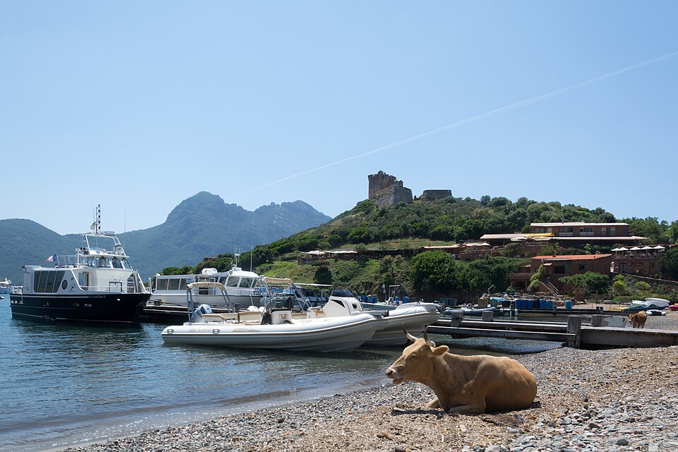 Méditerranée
