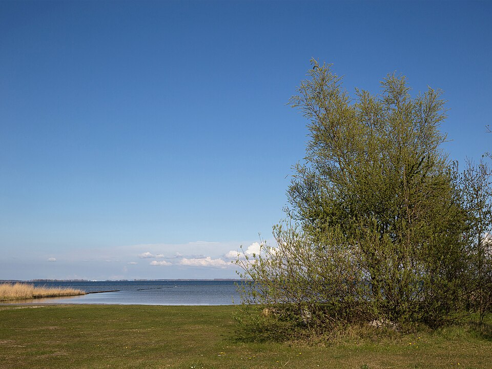 Prohner Wiek