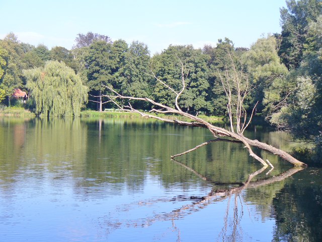 Jungfernheideteich