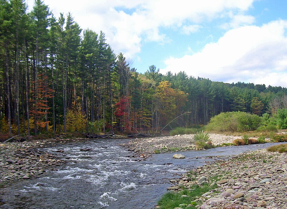 West Branch Neversink River at Claryville, New York