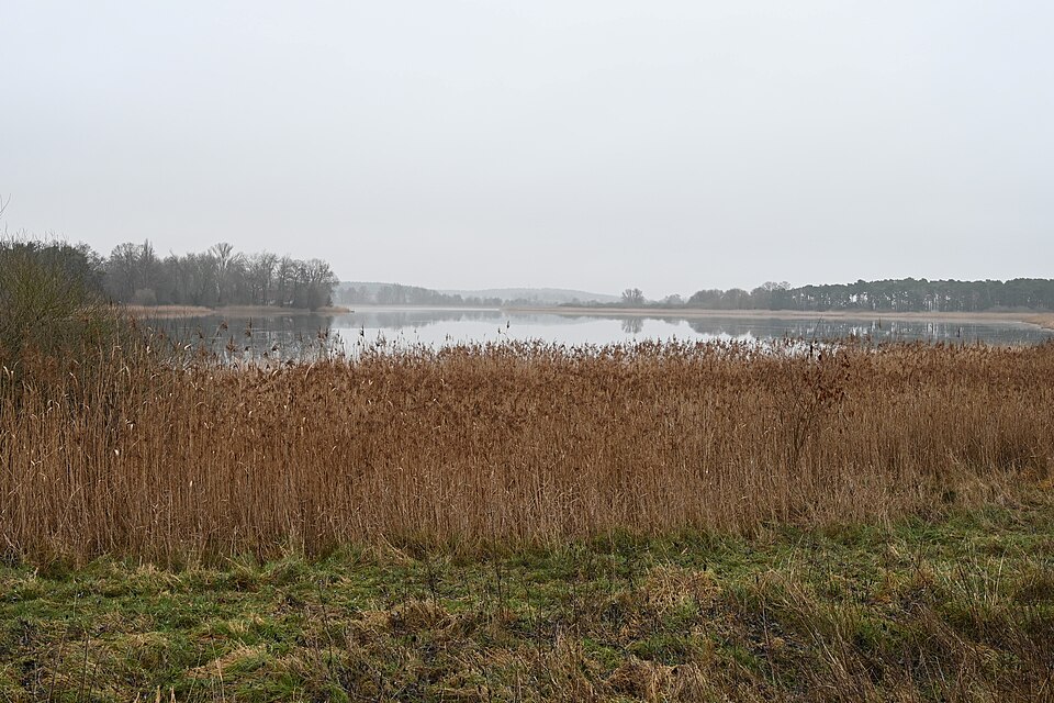 Beetzsee