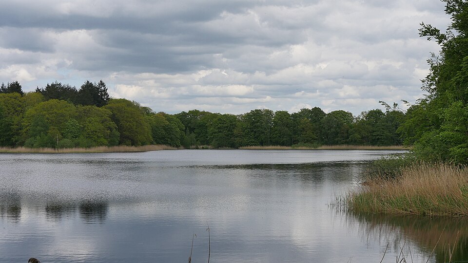 Bredenbeker Teich, Strandbad
